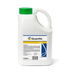 Quantis