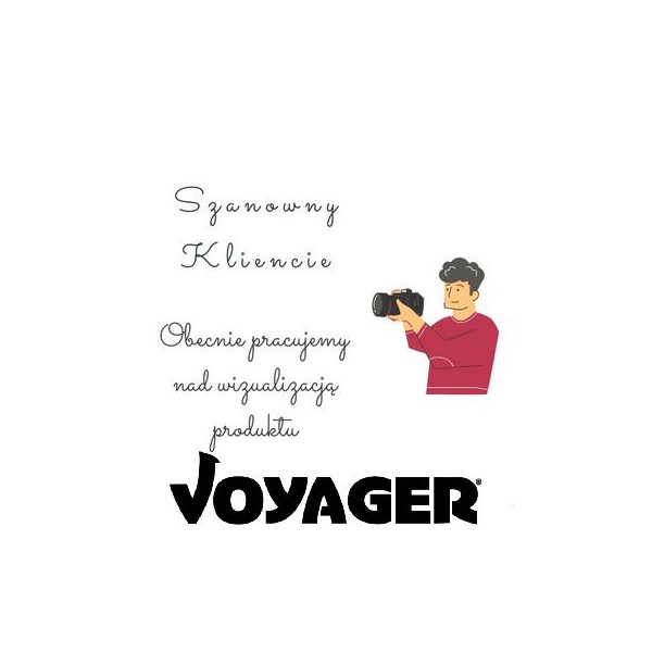 Voyager