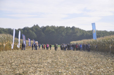 Rolnictwo regeneratywne - realna szansa na dodatkowy dochód